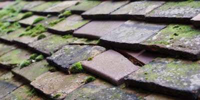 Rhydywrach roof repair costs